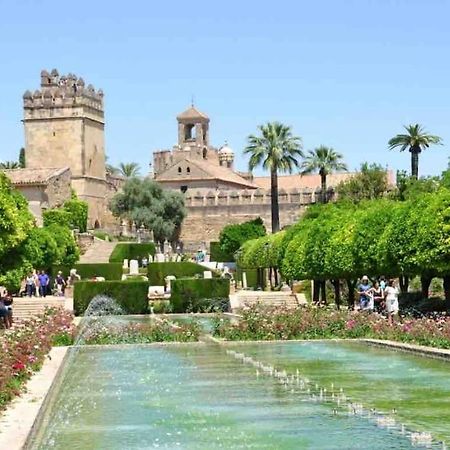 Apartamento Apartamento Con Jardin Y Piscina En Córdoba Exterior foto