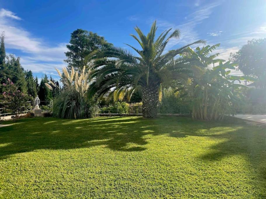 Apartamento Apartamento Con Jardin Y Piscina En Córdoba Exterior foto